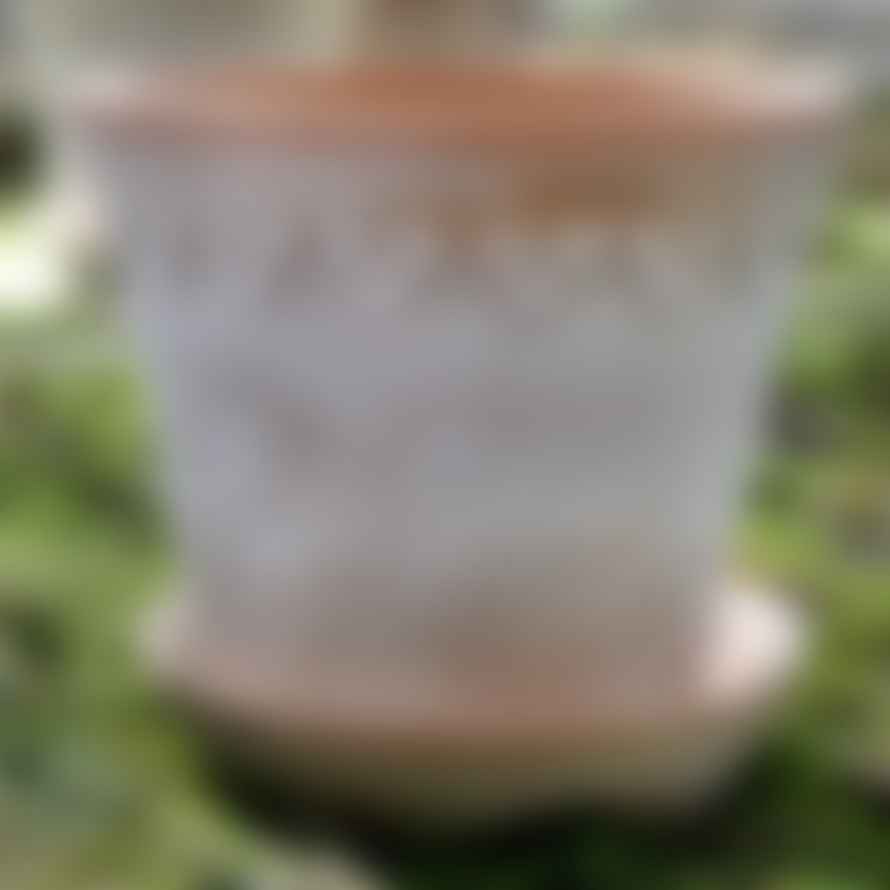 Botanical Boys 25cm Copenhagen Plant Pot with Saucer