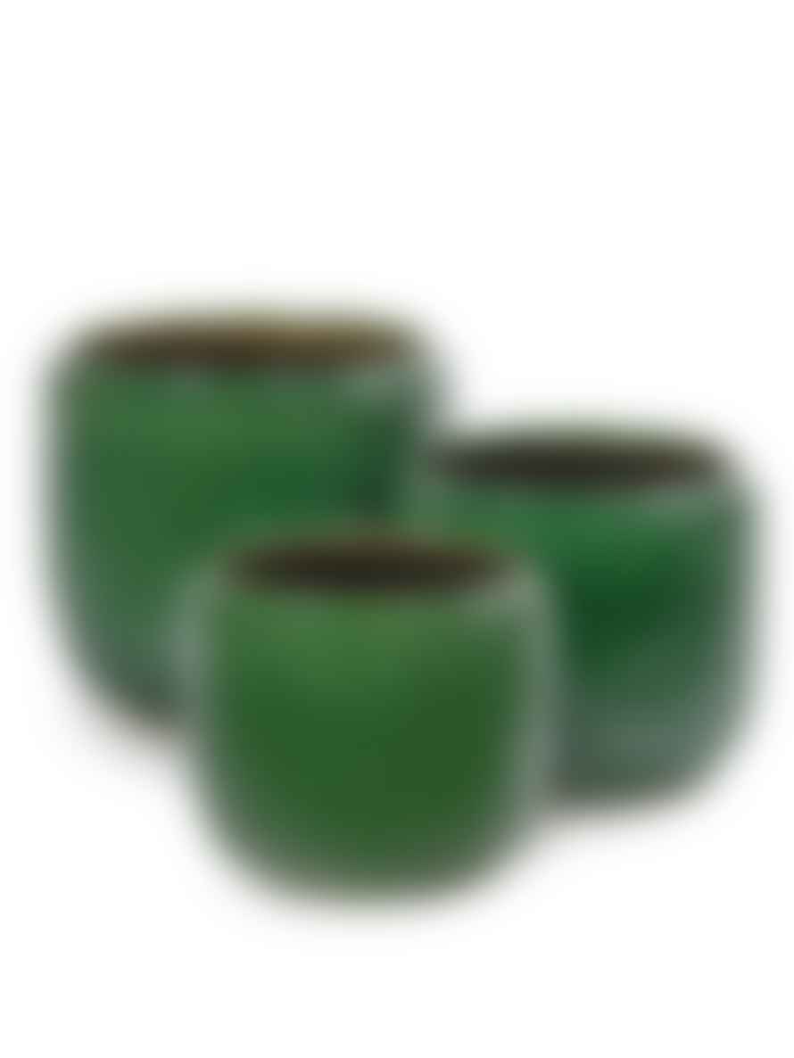botanicalboysuk 21cm Green Glazed Costa Pot  