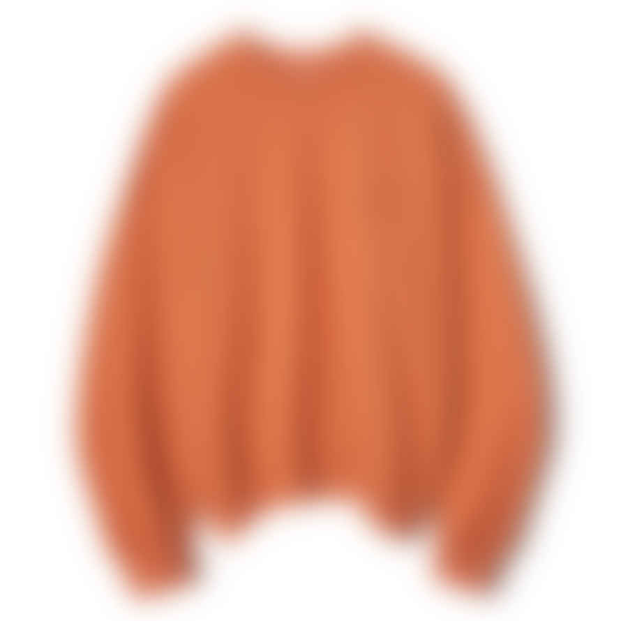 Partimento Smile Embroidered Logo Sweatshirt in Orange
