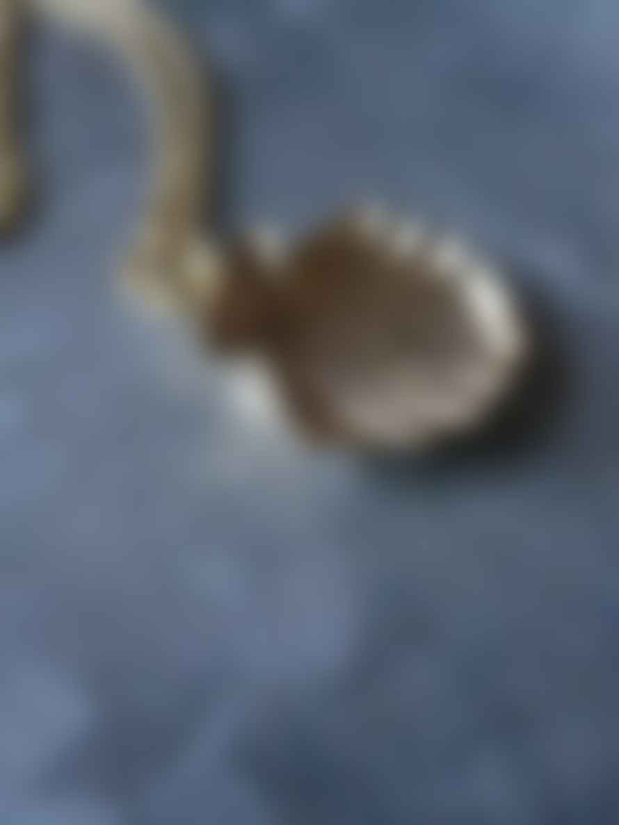 CollardManson Sea Shell Necklace