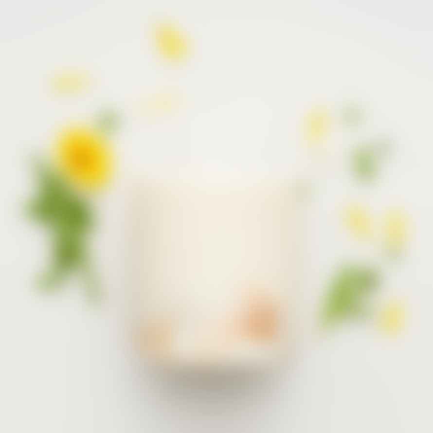 Munio Candela Handcrafted Eco Soy Wax Candle Marigold Flowers