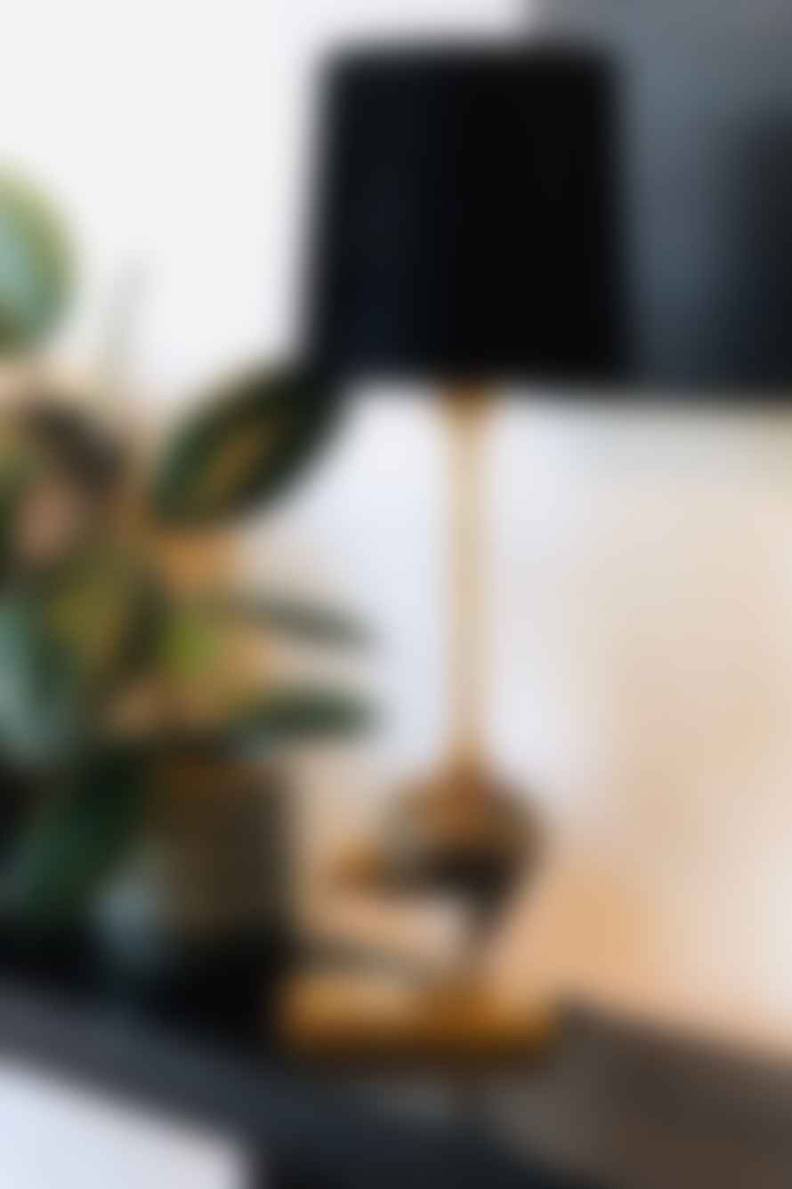 Vanilla Fly Antique Black Kiwi Bird Table Lamp With Black Velvet Shade