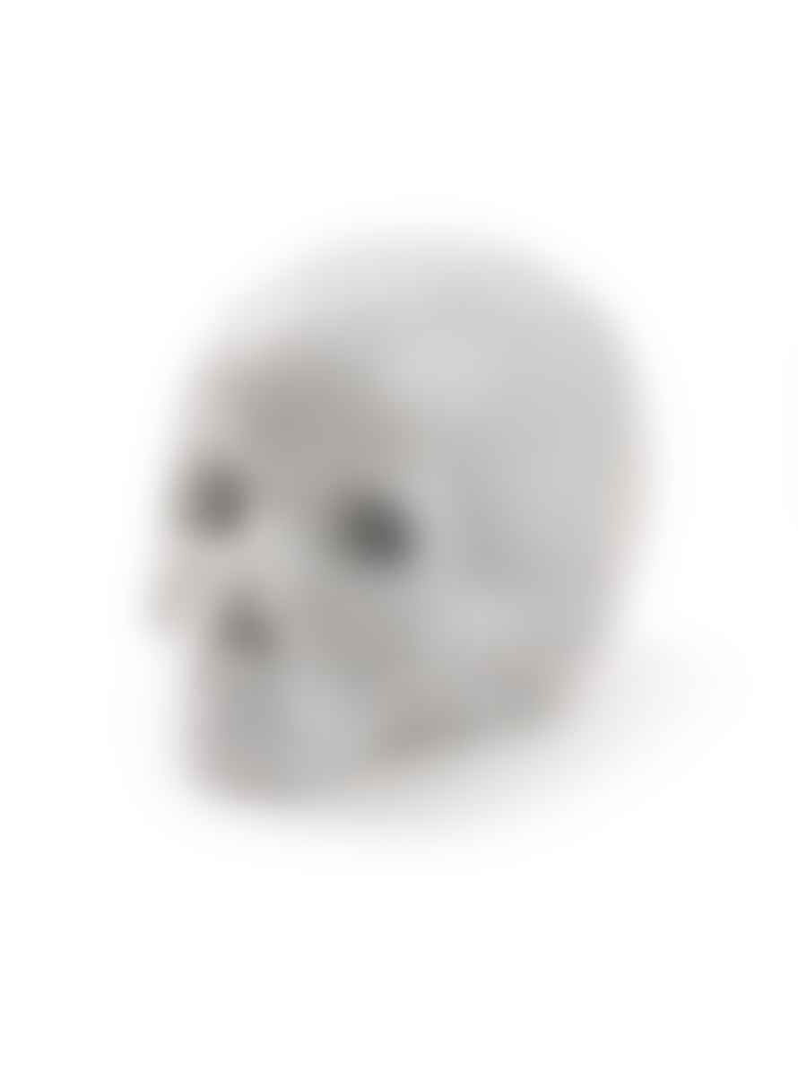 Seletti Porcelain Skull