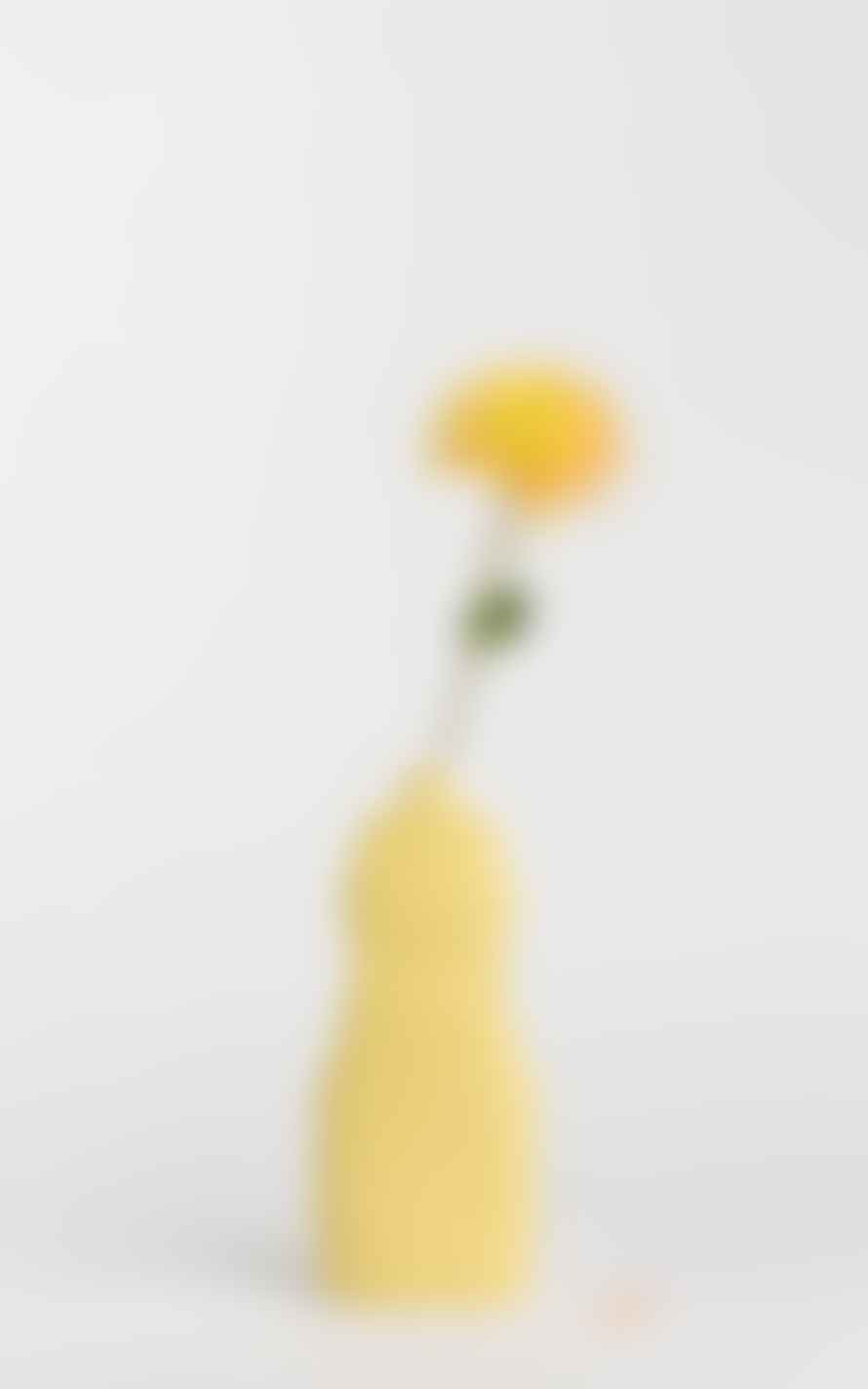 Foekje Fleur Porcelain Bottle Vase #19