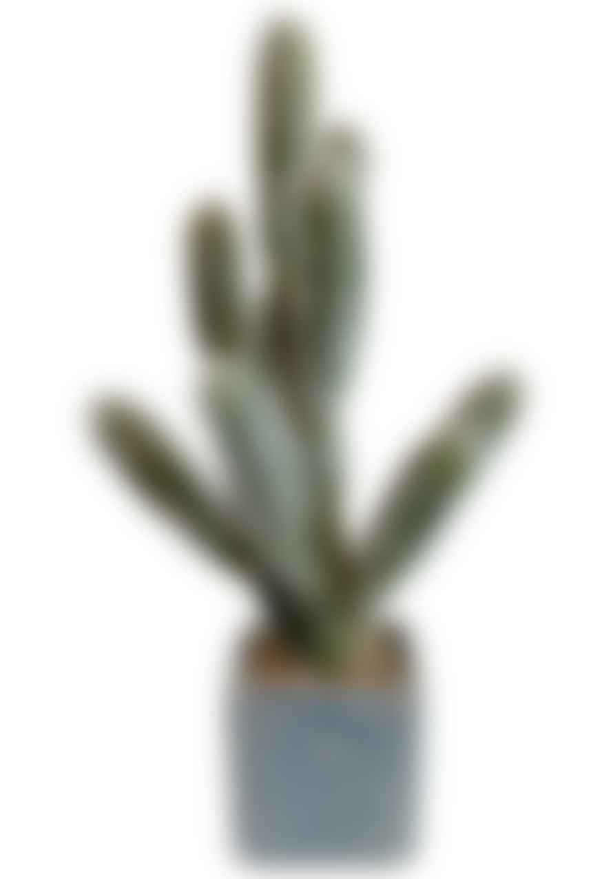 Grace and Grey Green Faux Cactus Plant in Pot