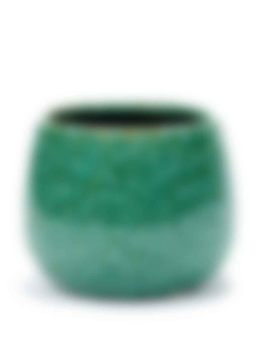 Botanical Boys Seagrass Green Pot