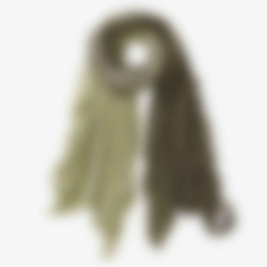 Pur Schoen Hand Felted Cashmere Soft Scarf Ombre Military-Green + Gift