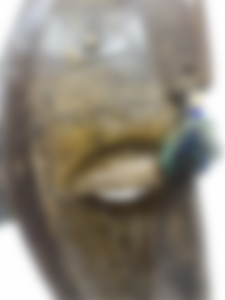 Botanical Boys Dogon Mask Mali