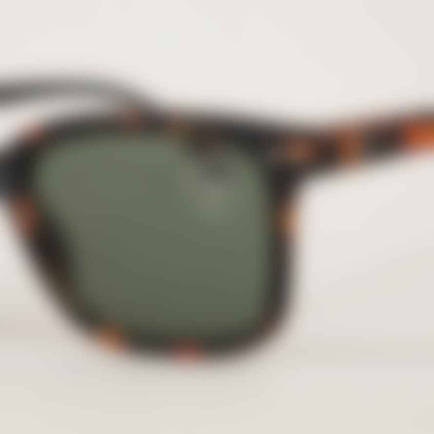 IZIPIZI #L The Big Oversized Style Sunglasses with Green Lenses in Tortoise Brown
