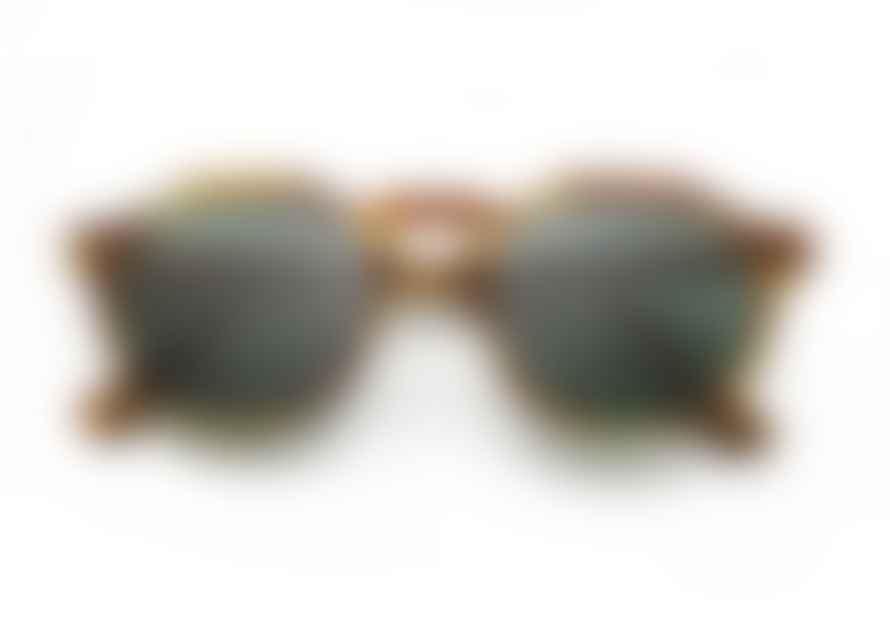 Oscar Deen Pinto Sunglasses Havana