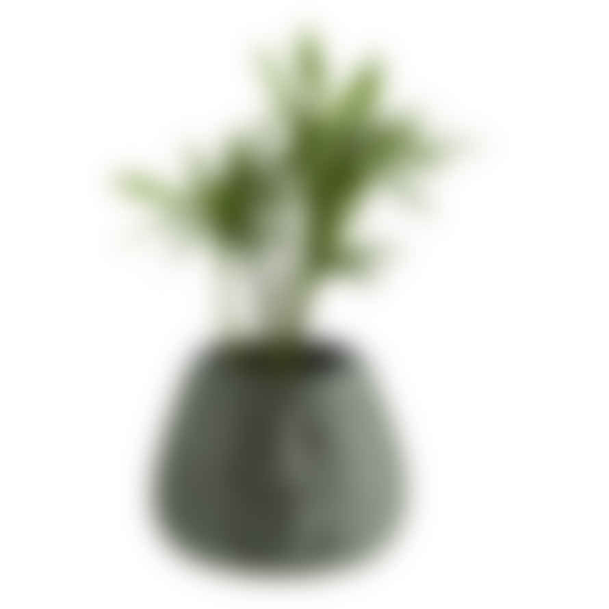 Madam Stoltz Large Green Ceramic Face Plant Pot