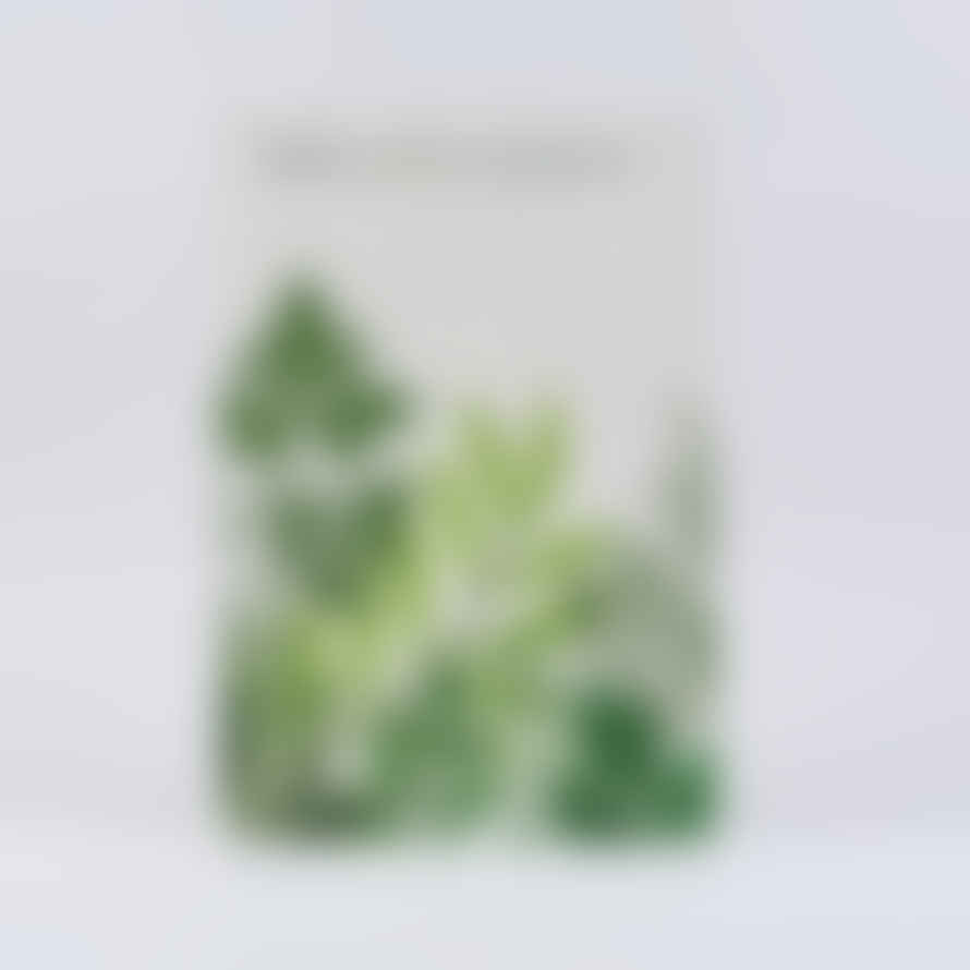 Quadrille Mark Diacono Herb A Cooks Companion Book