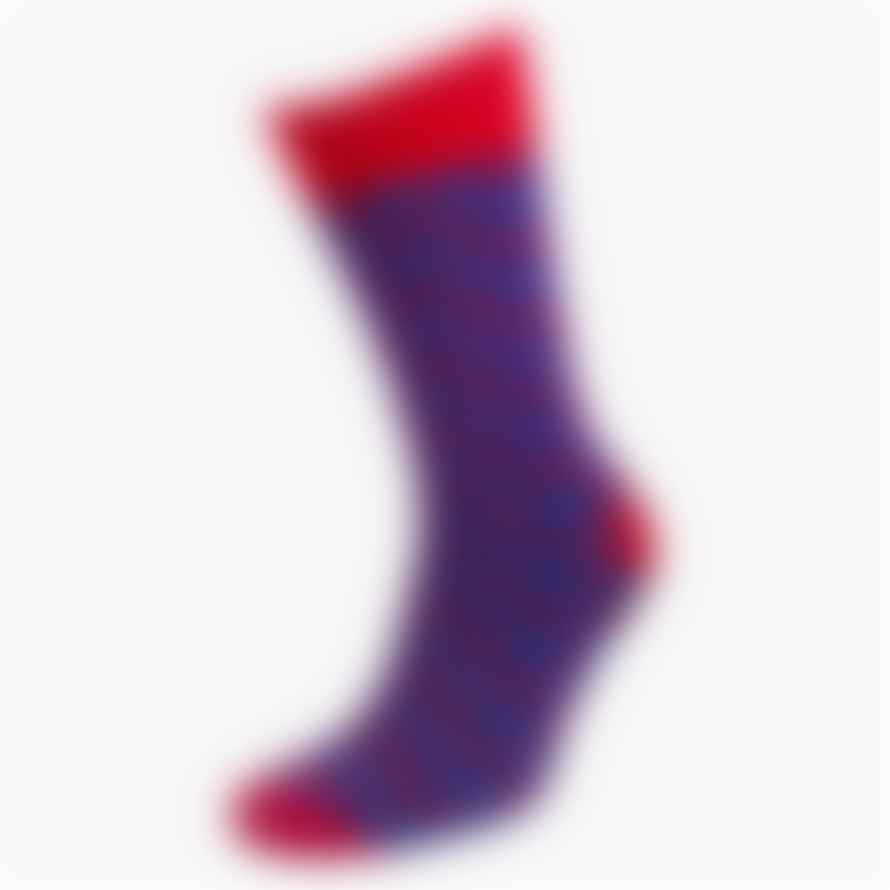 Gresham Blake Red and Blue Spot Socks