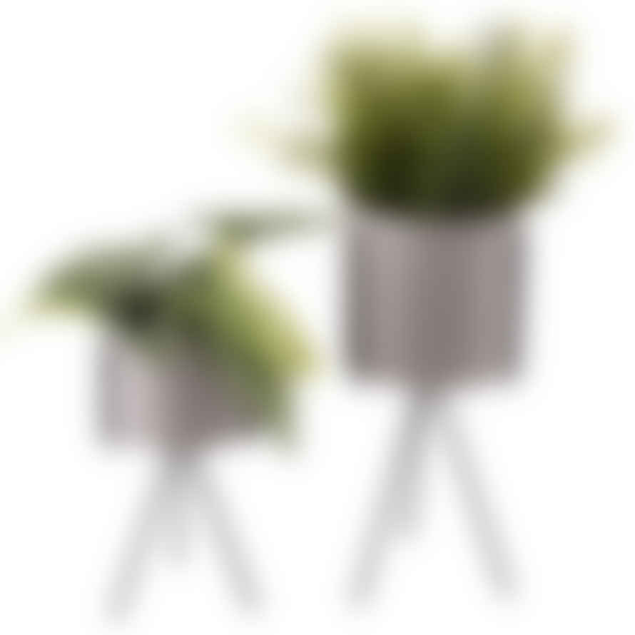 Present Time Set of 2 Warm Grey Plant Stands