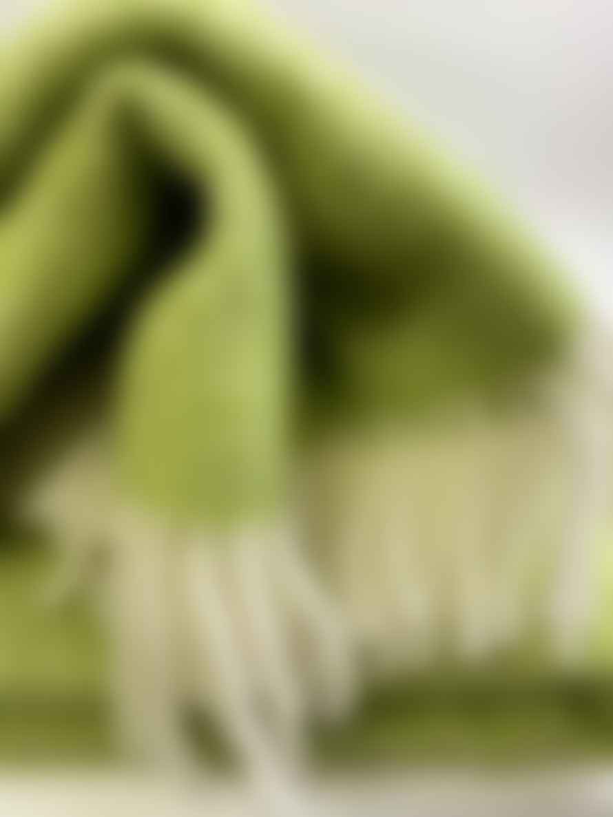 D&T Blanket Wool Punto hellgrün/beige, FB 10