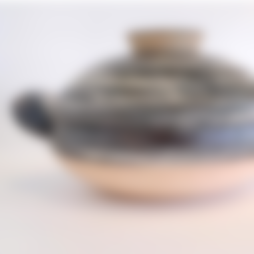 Nagatani-en Medium Hakeme Design Donabe Clay Cooking Pot