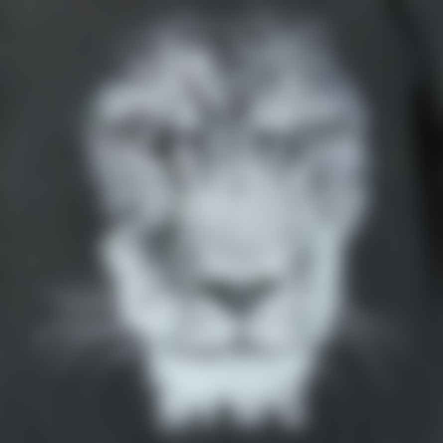 Lion Of Leisure T Shirt Lion King
