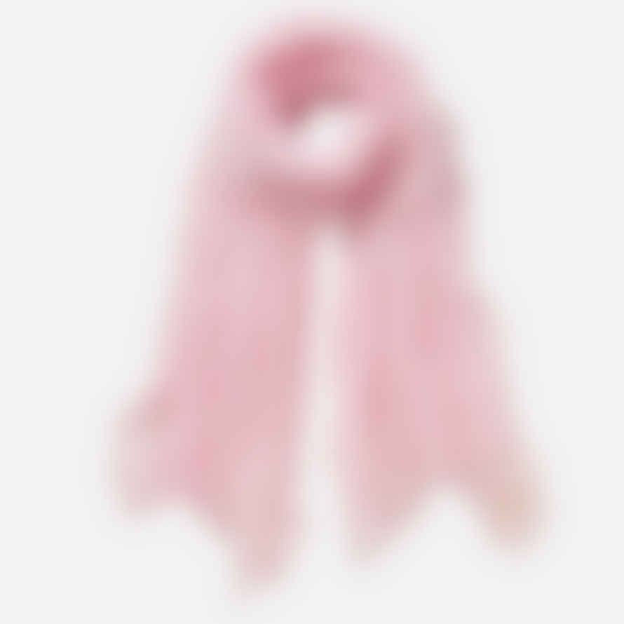 Pur Schoen Hand Felted Cashmere Soft Scarf  Rose + Gift