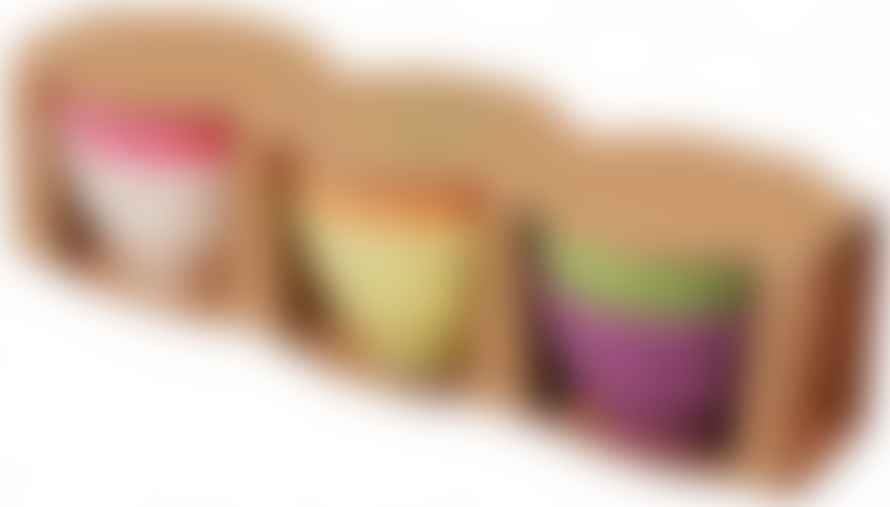 Zuperzozial Sweet Fortune Set of 6 Bowls Rainbow