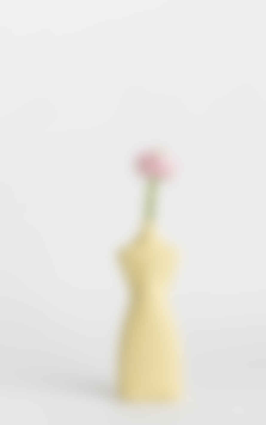 Foekje Fleur Porcelain Bottle Vase #8