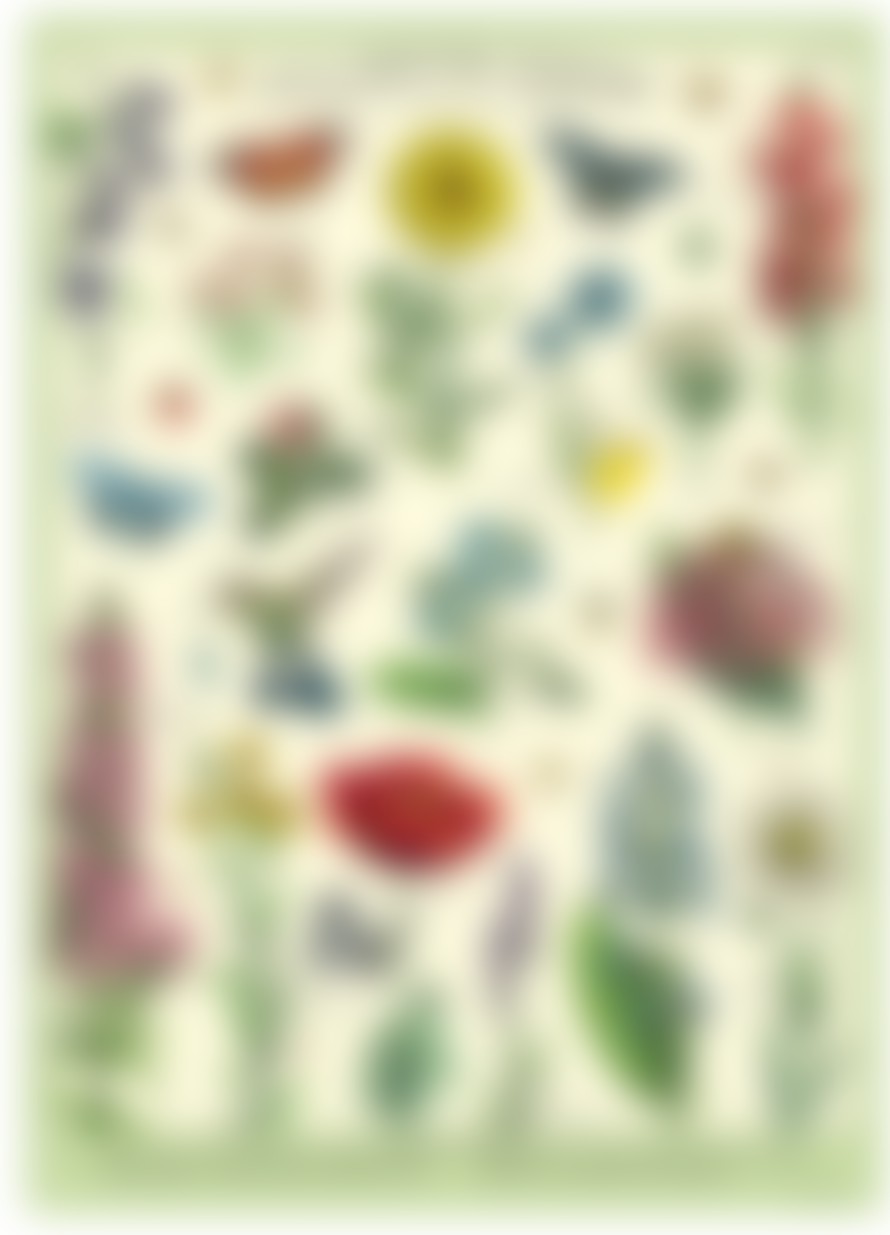 Cavallini & Co Pollinators - Vintage Poster | 51 x 71cm
