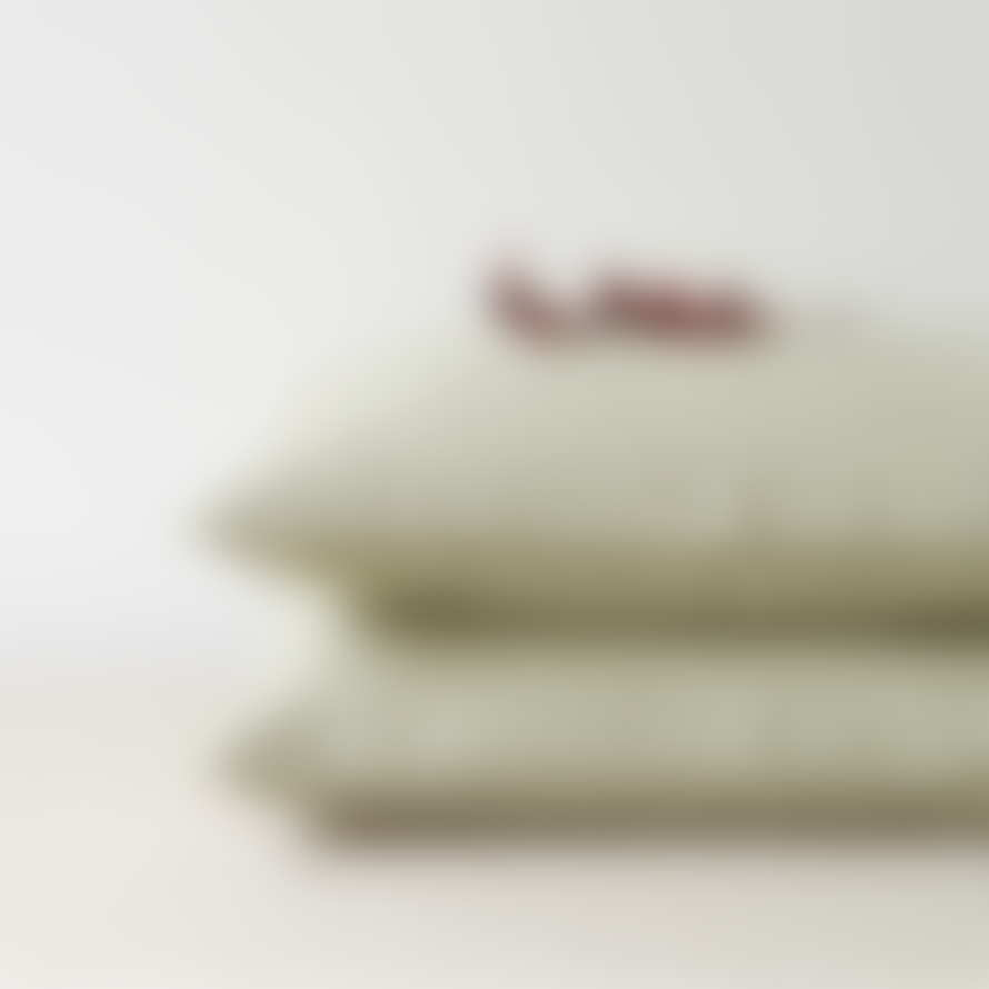 Linen Tales Pillowcase 100% Linen - Sage, 80x80cm