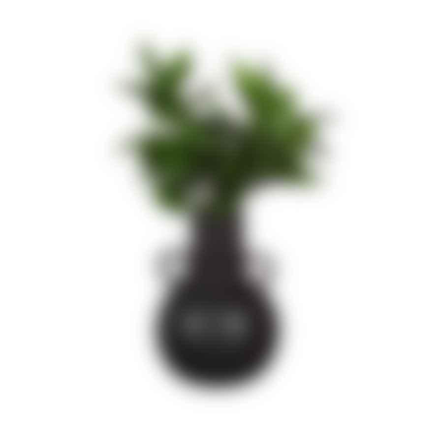 &Quirky Small Black Amphora Vase