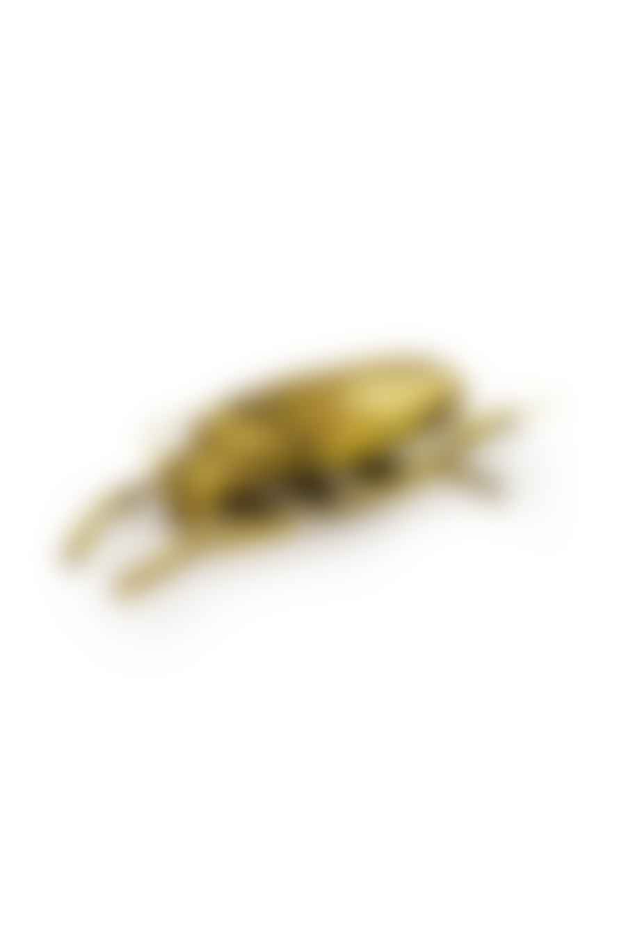 The Home Collection Large Gold Spotted Beetle Wall Decor