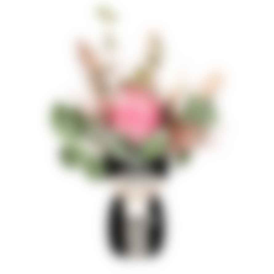 Sass & Belle  Frida Monochrome Body Shaped Vase