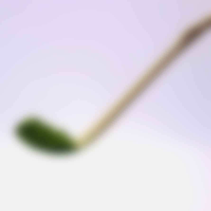 Charakwon Korean Bamboo Malcha(Matcha) Spoon
