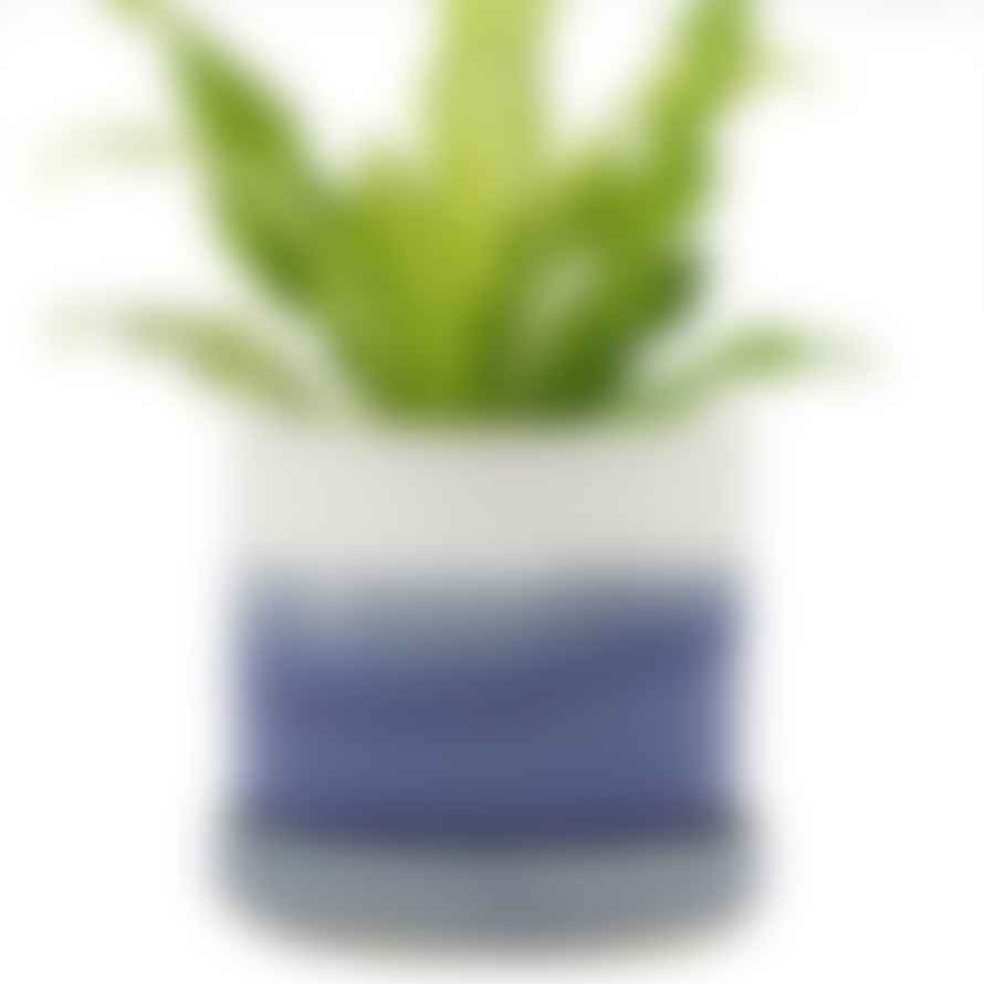 Chive Blue Layers Planter