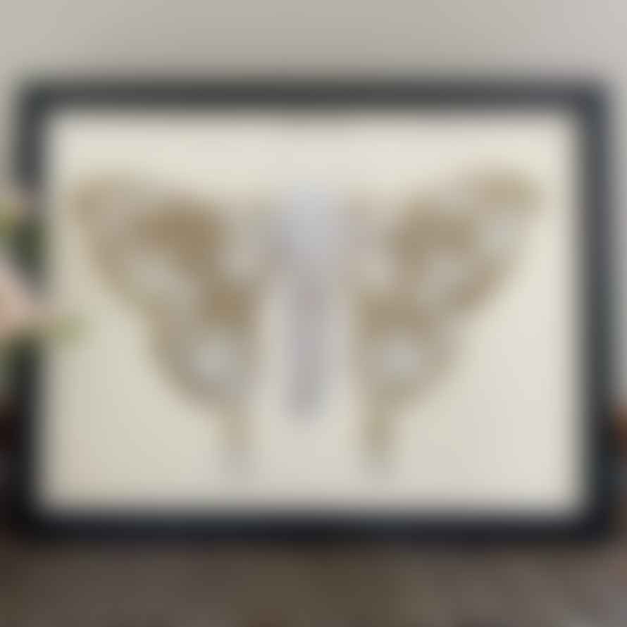 PSTR Studio Retro Inspired Moth Framed Print 