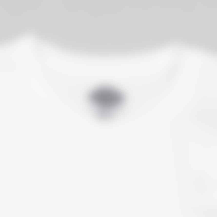 Dickies Mapleton Short Sleeve T-Shirt in White
