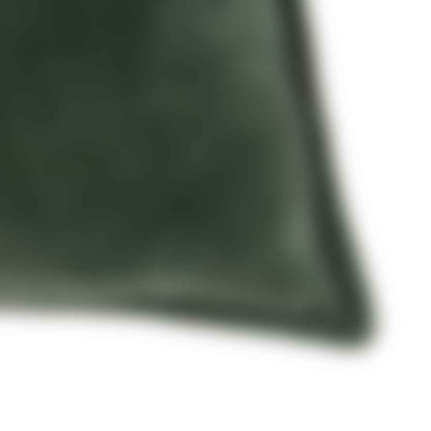 Joca Home Concept Sage Green Velvet Cushion 