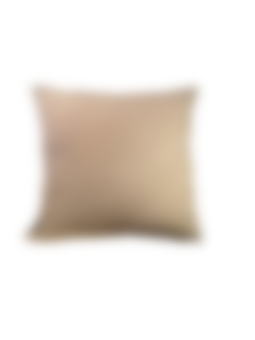 Coussin Design Exclusif Atelier I&N