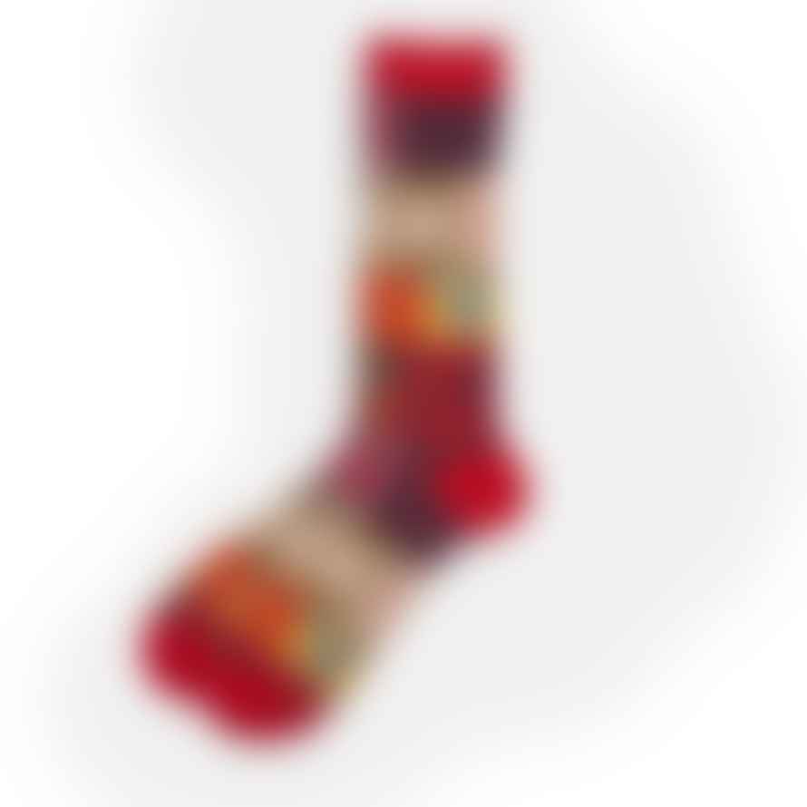 Anonymous Ism  Multipattern Jq Crew Sock Red
