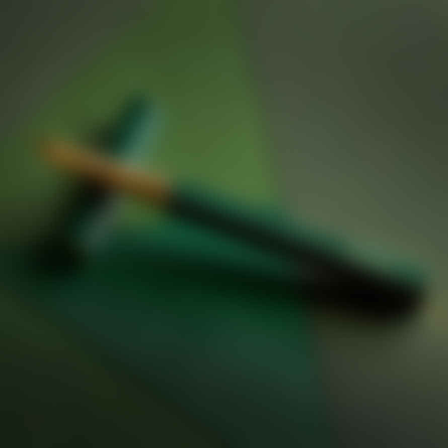 Ystudio Classic Revolve Fountain Pen (Green - F Nib)