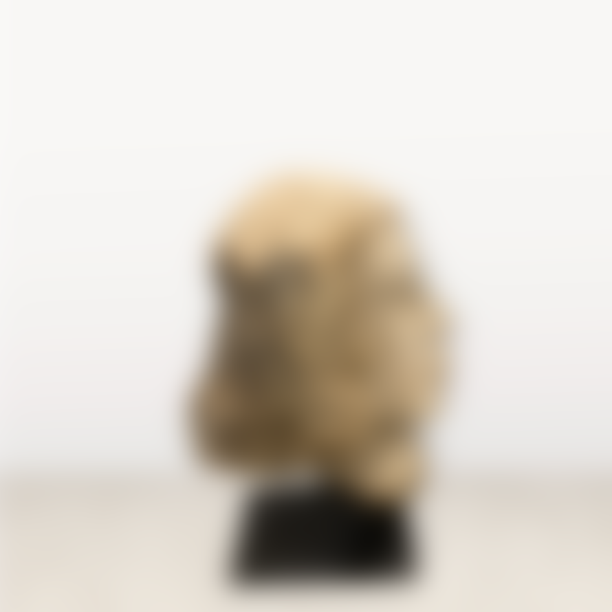 botanicalboysuk Stone Head Sculpture By Rizimu Chiwawa 32.2