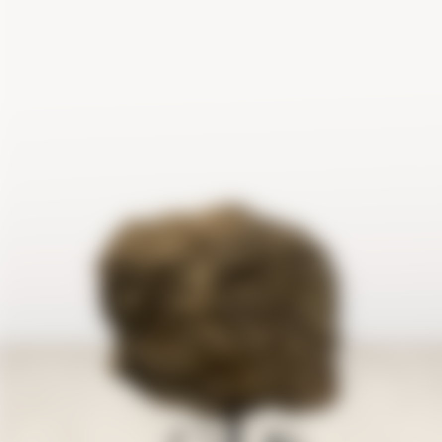 botanicalboysuk Stone Head Sculpture By Rizimu Chiwawa 32.1