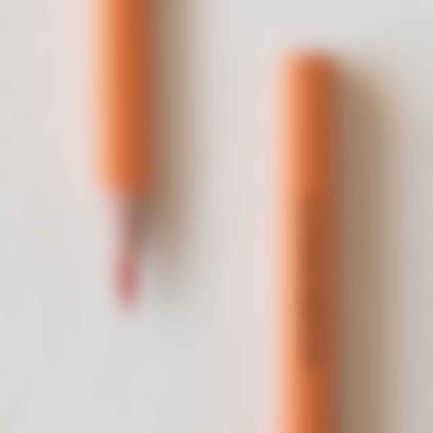 Midori Md Colour Pencil Set