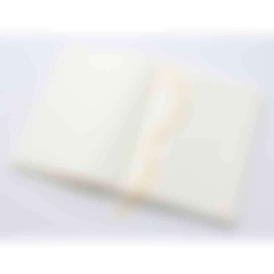 Midori Md Notebook A 5 Blank Notebook