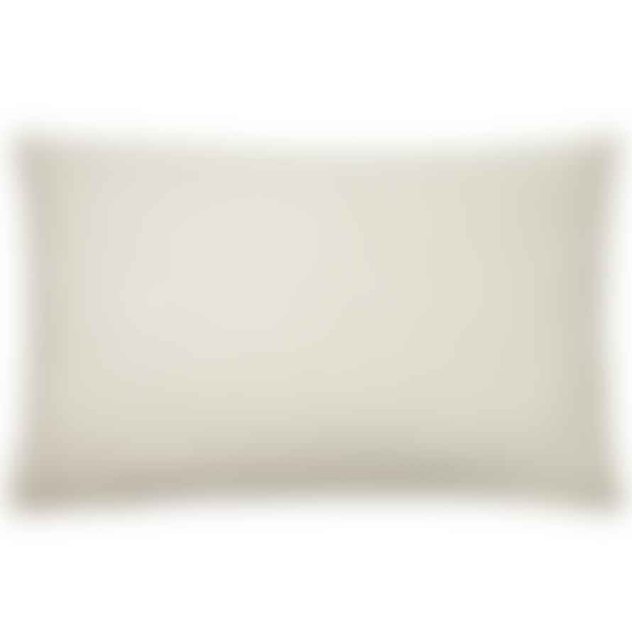 Victoria & Co. Grey Velvet Cushion 40x60