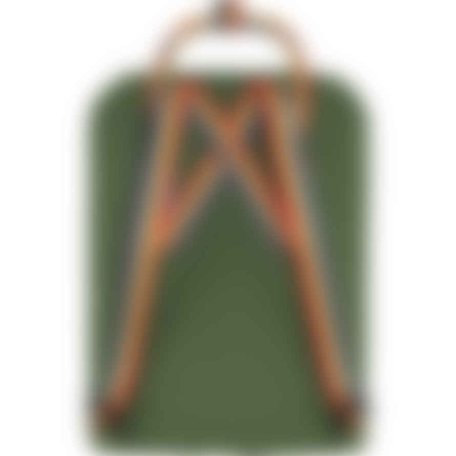 Fjällräven Kanken Rainbow Bag - Spruce Green/Rainbow