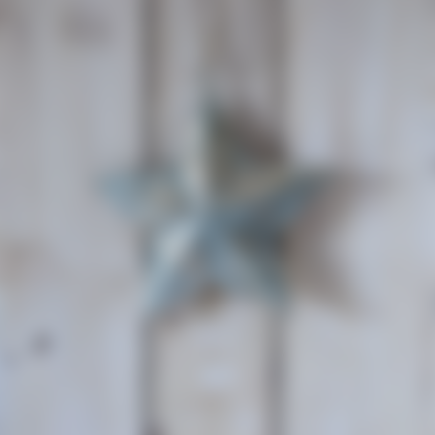Grand Illusions Hanging Star Decoration - 5 Point