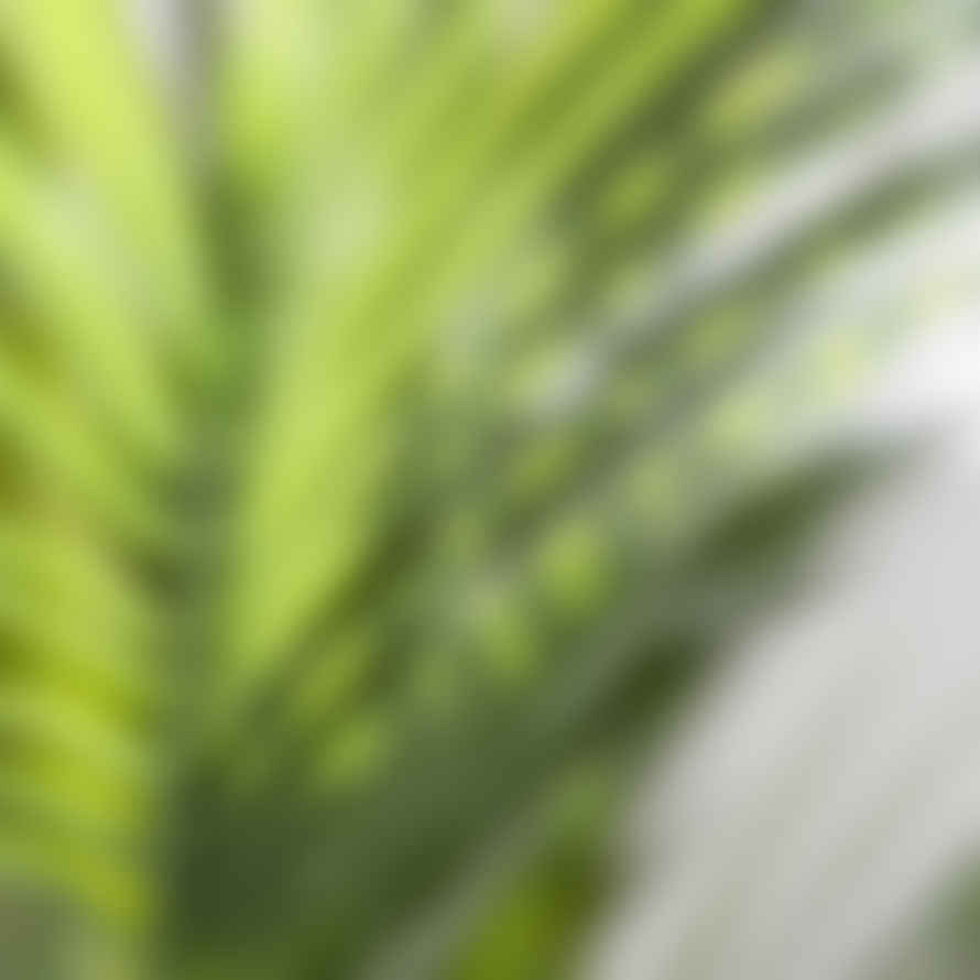 Grand Illusions Parlour Palm in Pot - Artificial Plant 