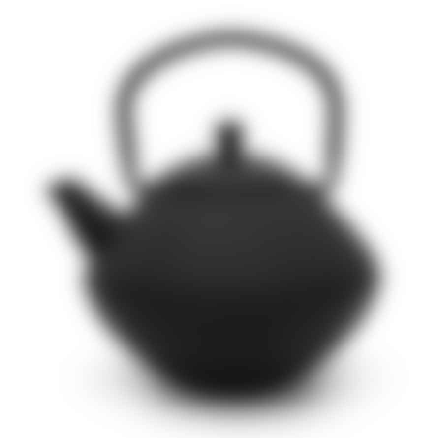 Bredemeijer Holland Bredemeijer Teapot Xinjian Design Cast Iron 1.0l In Black