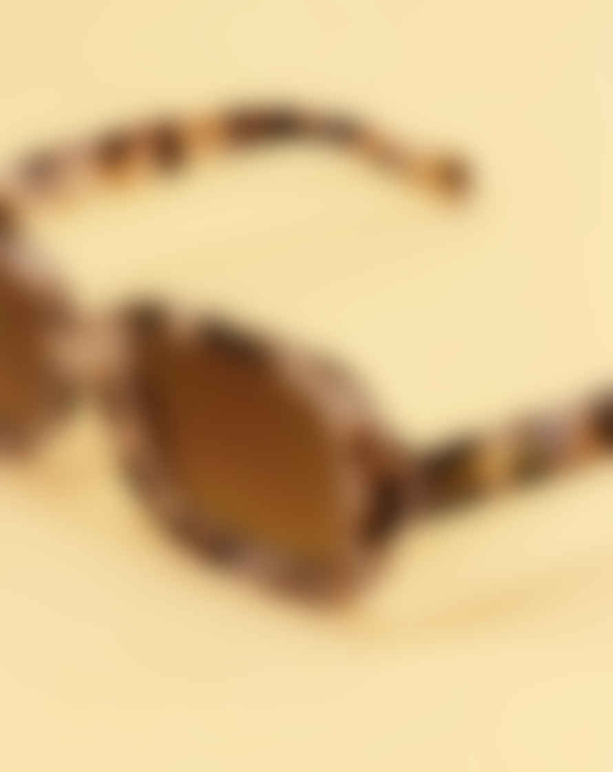 Powder Enya Sunglasses