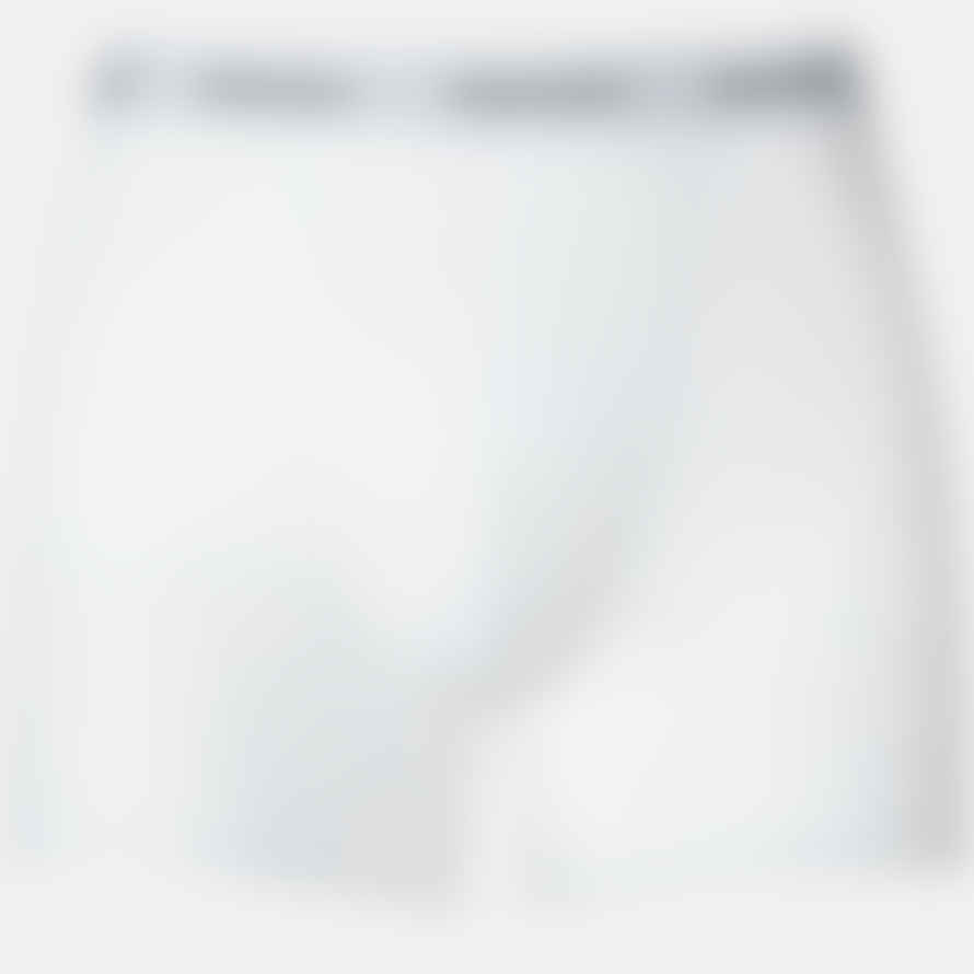 Dickies 2-pack Solid Trunks in White