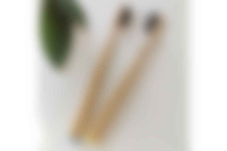 Zangra Self Standing Bamboo Toothbrush in White Handle