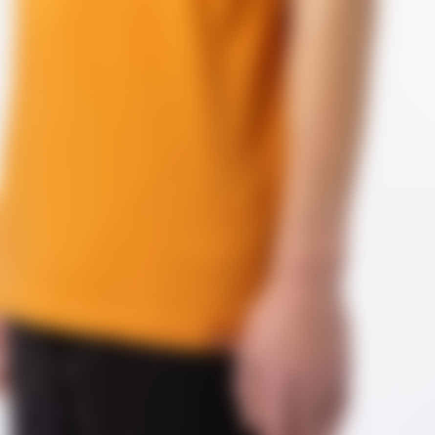 Dickies Artondale Short Sleeve Box T-Shirt in Golden Ochre